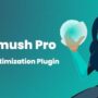 افزونه بهینه‌سازی تصاویر سایت | wp smushit pro