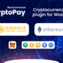 افزونه پرداخت با ارز دیجیتال ووکامرس | CryptoPay Woocommerce