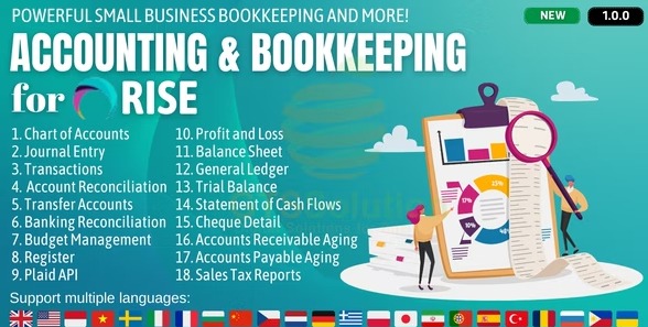 پلاگین حسابداری برای اسکریپت رایز | Accounting and Bookkeeping for Rise 8