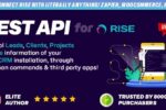 پلاگین Rest API برای اسکریپت رایز | Rest API Plugin for Rise Script 4