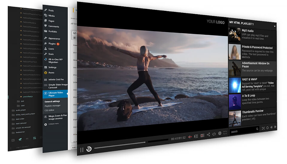 افزونه حرفه‌ای پخش ویدیو وردپرس Ultimate Video Player 4