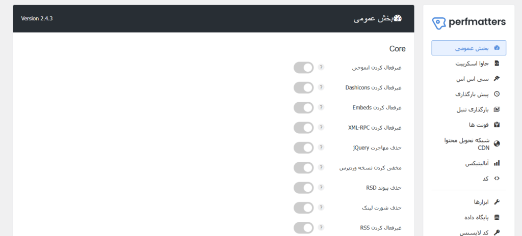 افزونه بهینه سازی و افزایش سرعت وردپرس Perfmatters 3