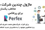 ماژول شرکت‌های متعدد با مخاطب یکسان برای اسکریپت پرفکس| Multiple Companies with the Same Primary Contact for Perfex CRM 1